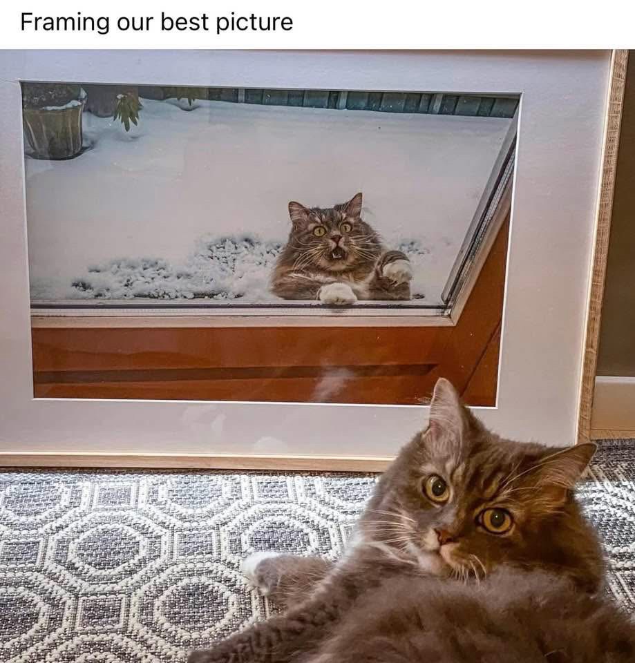 framing out best picture