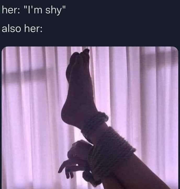 37 Inappropriate Memes That Cross the Line in the Name of Humor 36 im shy