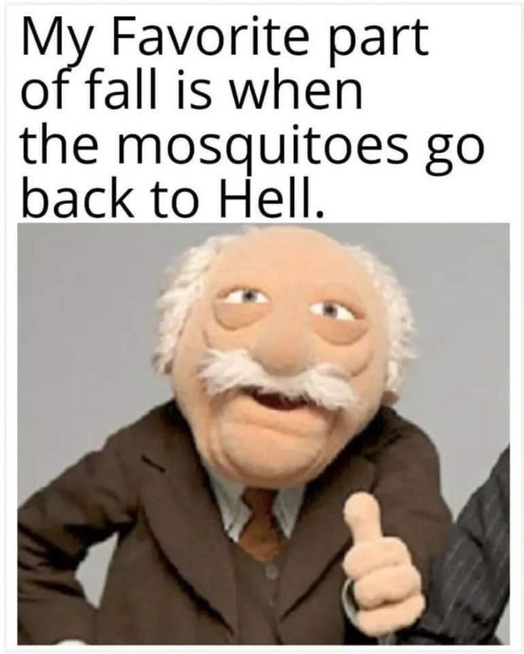 35 Fall Memes That Are as Colorful as the Falling Leaves 36 Its autms equinox