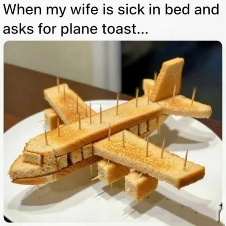 35 Literal Memes That Take Things Way Too Seriously 37 plane toast