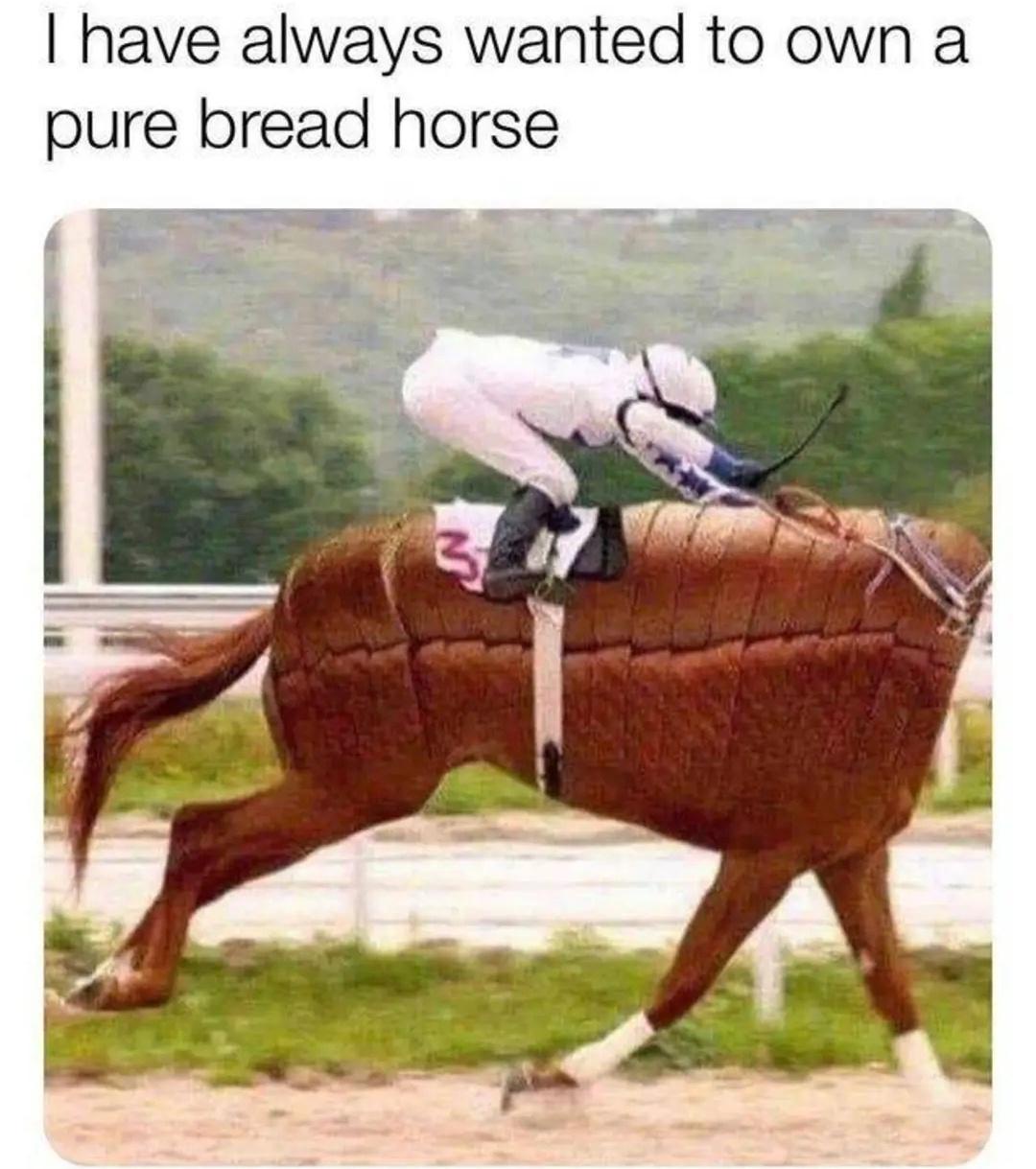 20 Memes So Random They Could Be a Deleted Scene from Reality 15 pure bread horse