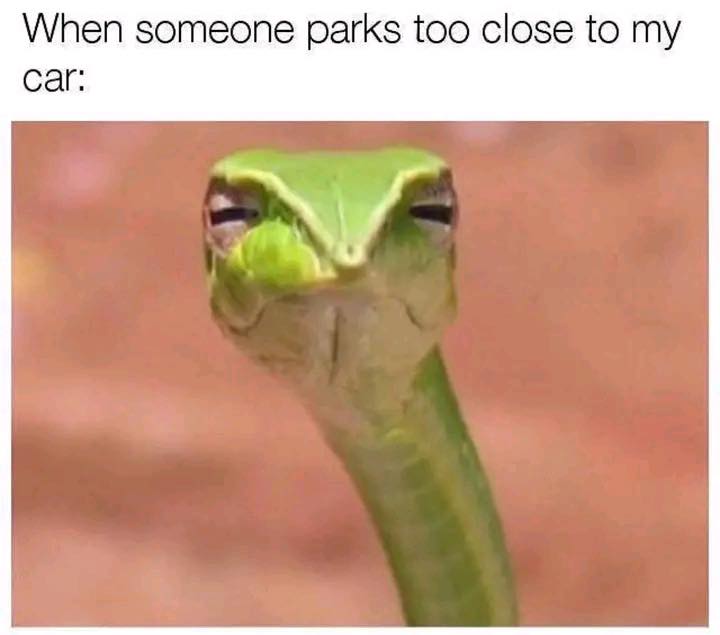 someone parks too close