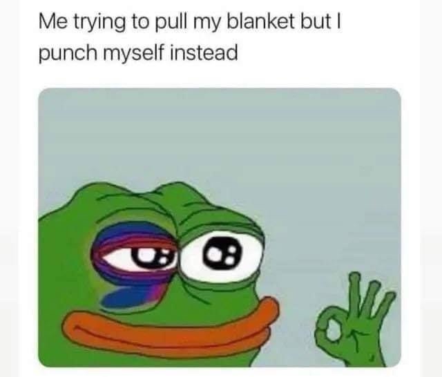 20 memes that don’t believe in logic — and honestly, neither should you 16 trying to pull my blanket