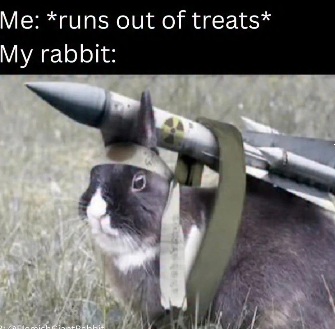 35 Rabbit Memes to Share the Hoppiness on International Rabbit Day! 37 uns out of treats