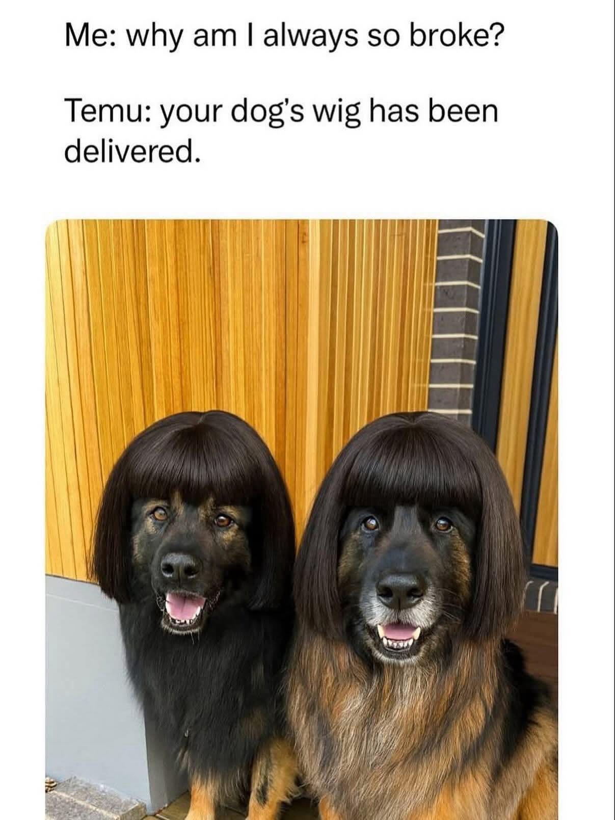 Windy day funny hi-res stock photography and images - Alamy, image size:1207x1609