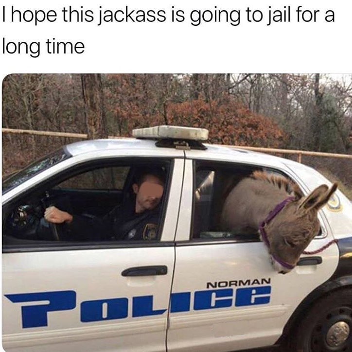 40 Donkey Memes So Funny, You Won’t Stop Laughing! 38 Afternoon funnies. Mechanic memes from a real mechanic