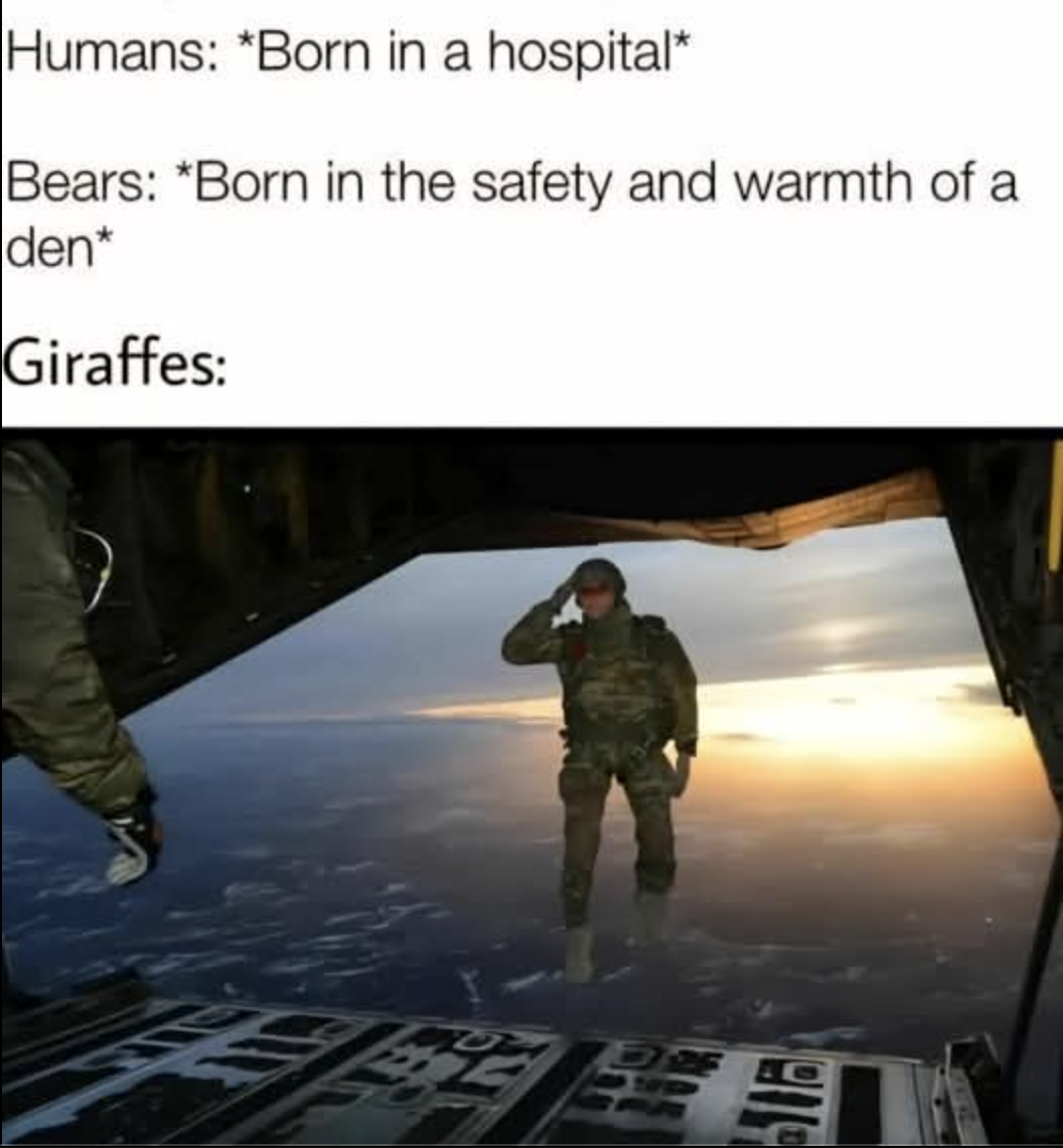 Born in hospital