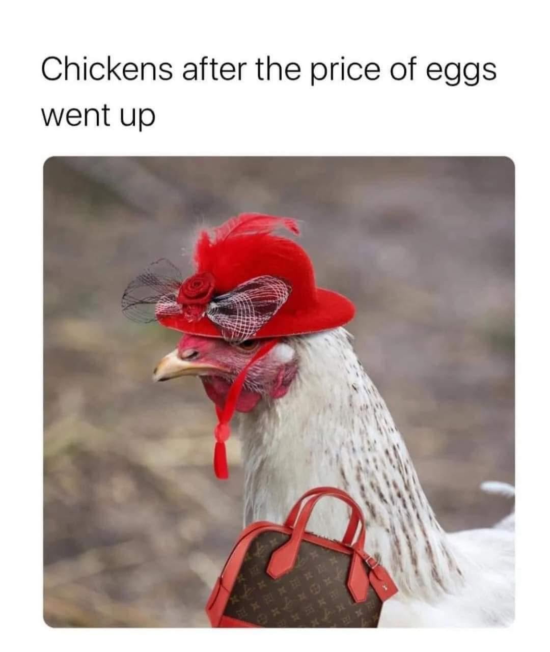 30 Egg Memes to Crack You Up This World Egg Day 29 Chickens after prices of eggs