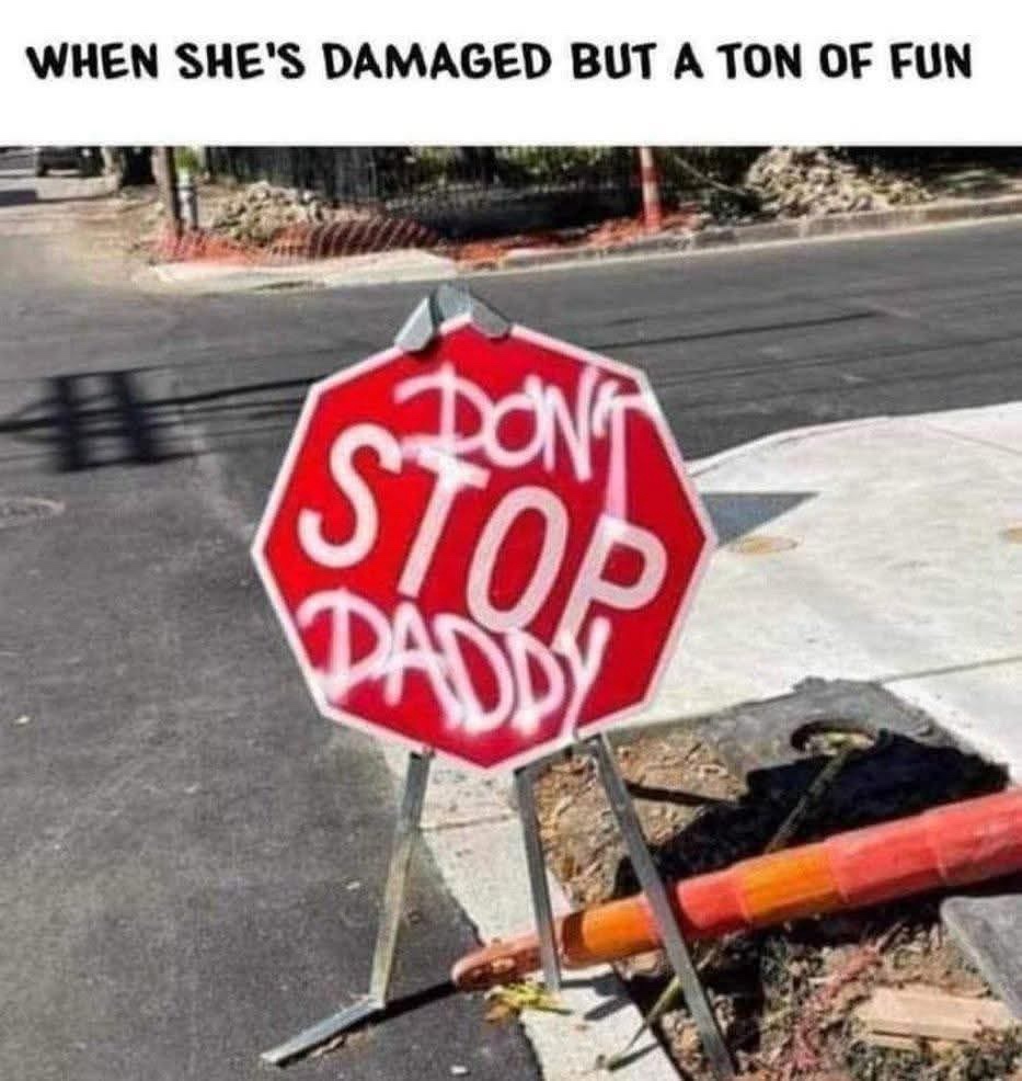 20 Memes That Have Absolutely No Plot but Endless Drama 1 Damaged but fun