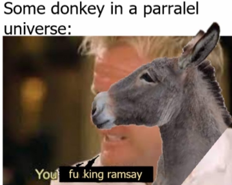 40 Donkey Memes So Funny, You Won’t Stop Laughing! 39 Donkey in parallel
