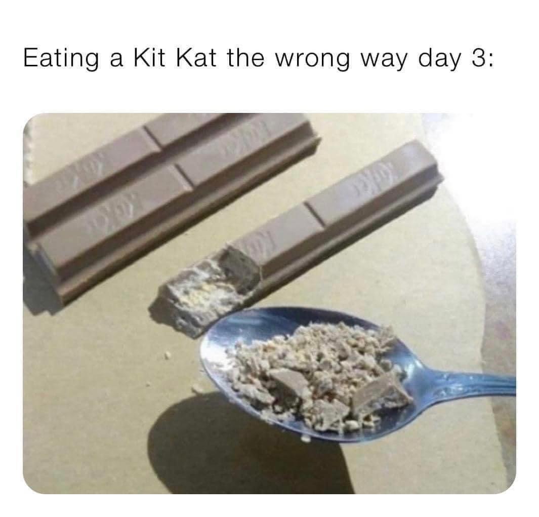 35 Unforeseen Humorous Gems 32 Eating a kitkat