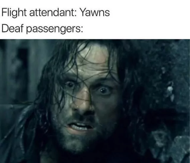 35 Hilarious Airplane Memes to Keep You Laughing at 30,000 Feet 33 Flight attendant yawns
