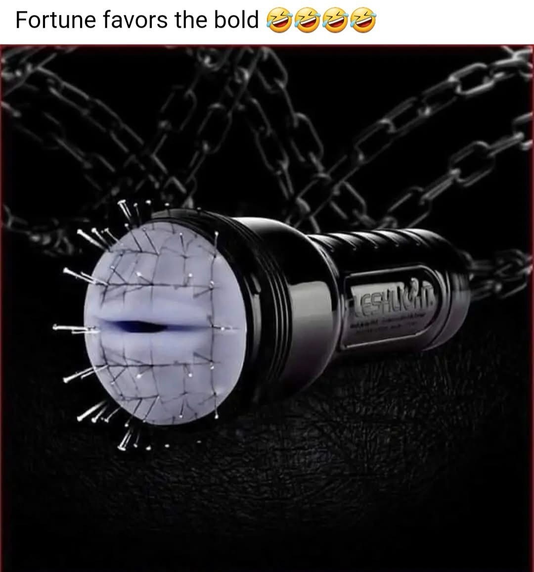 20 Memes That Have Absolutely No Plot but Endless Drama 3 Fortune favors the bold