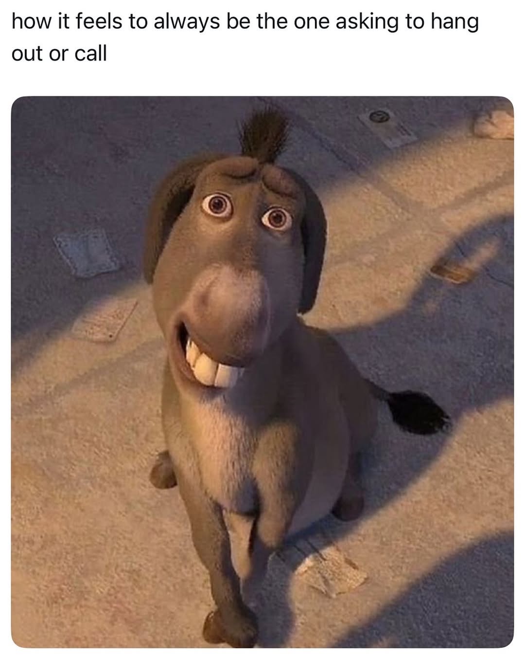 40 Donkey Memes So Funny, You Won’t Stop Laughing! 40 Fr Follow