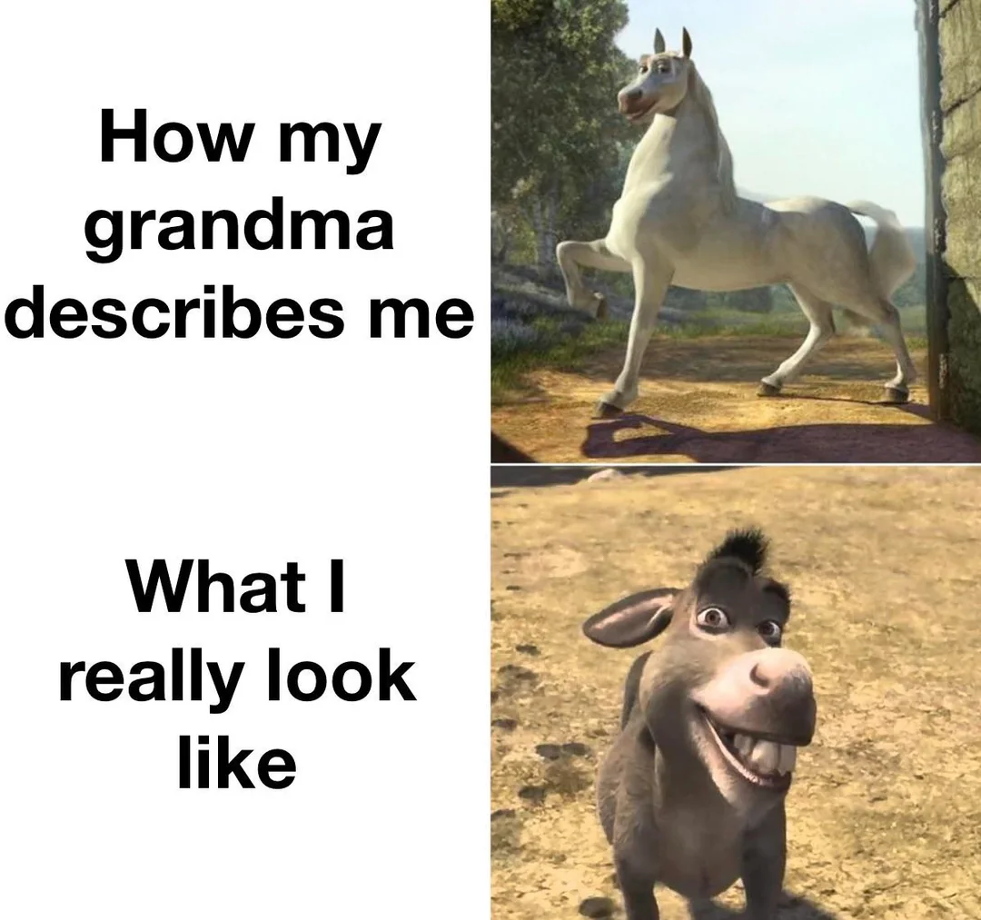 40 Donkey Memes So Funny, You Won’t Stop Laughing! 41 Grandma describes me