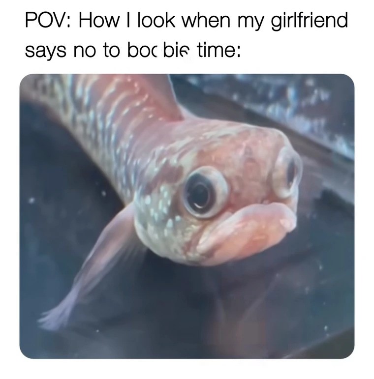 40 Memes So Bold They’ll Leave You Speechless 38 How I look