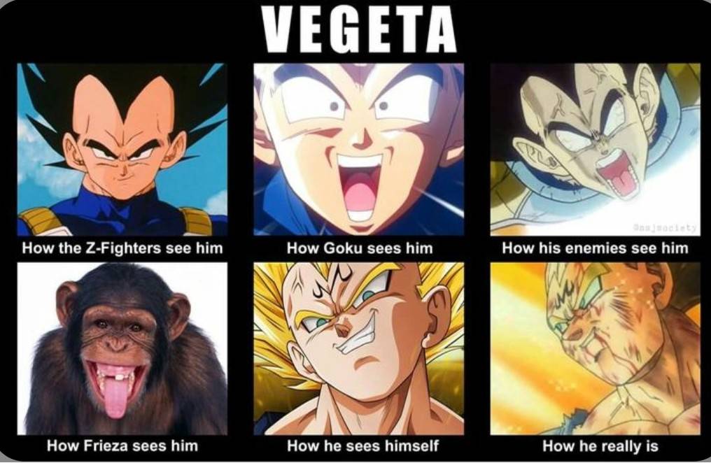 25 Dragon Ball Z Memes That Go Super Saiyan on Humor 6 How freeza sees him