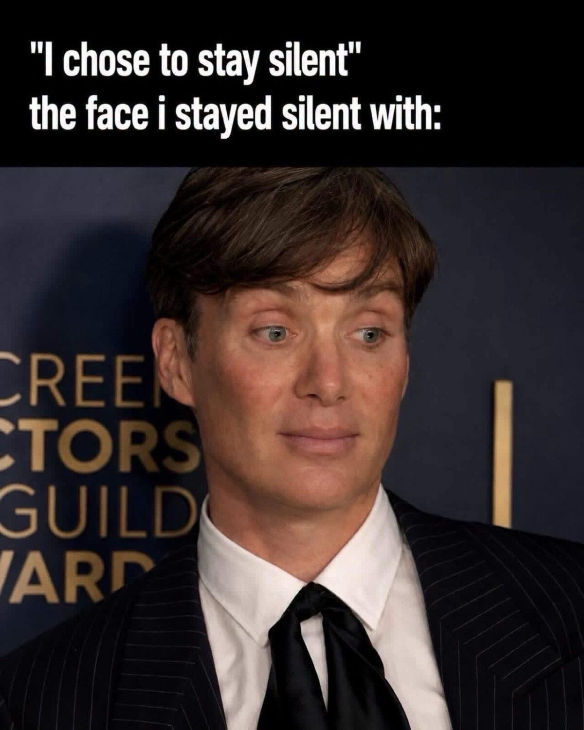30 Memes So Funny, You’ll Forget Your Troubles (Temporarily) 28 I chose to stay silent