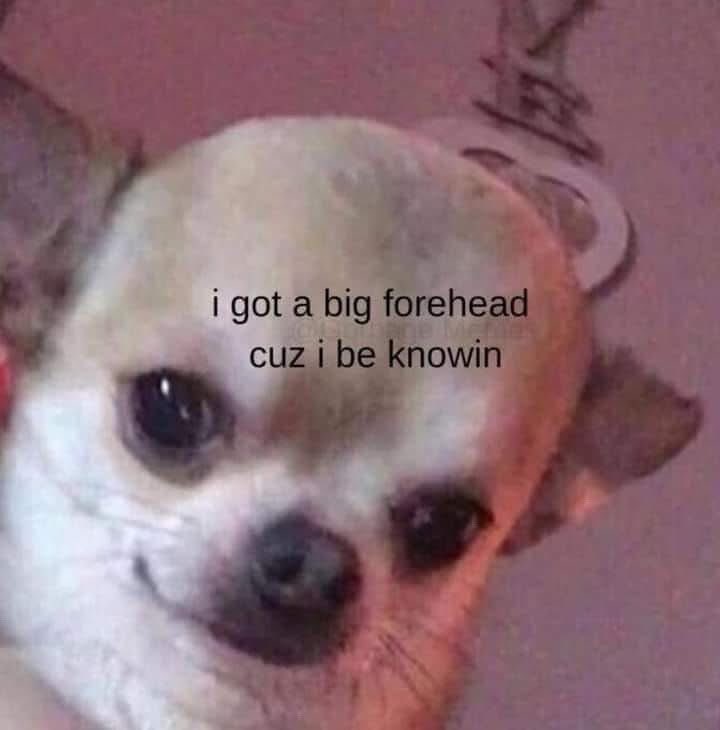 20 Memes That Are Half Art, Half Chaos, All Confusion 4 I gt a bigforehead