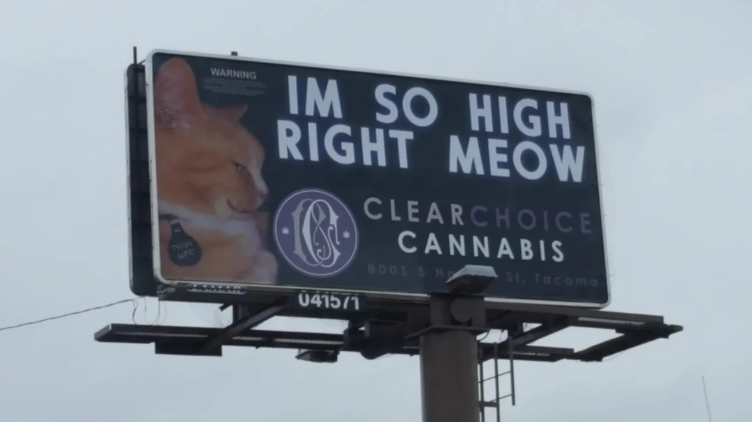 25 Funny Billboards That Prove Humor Sells Better Than Actual Marketing 24 Lawfirm billboards are out of control 2