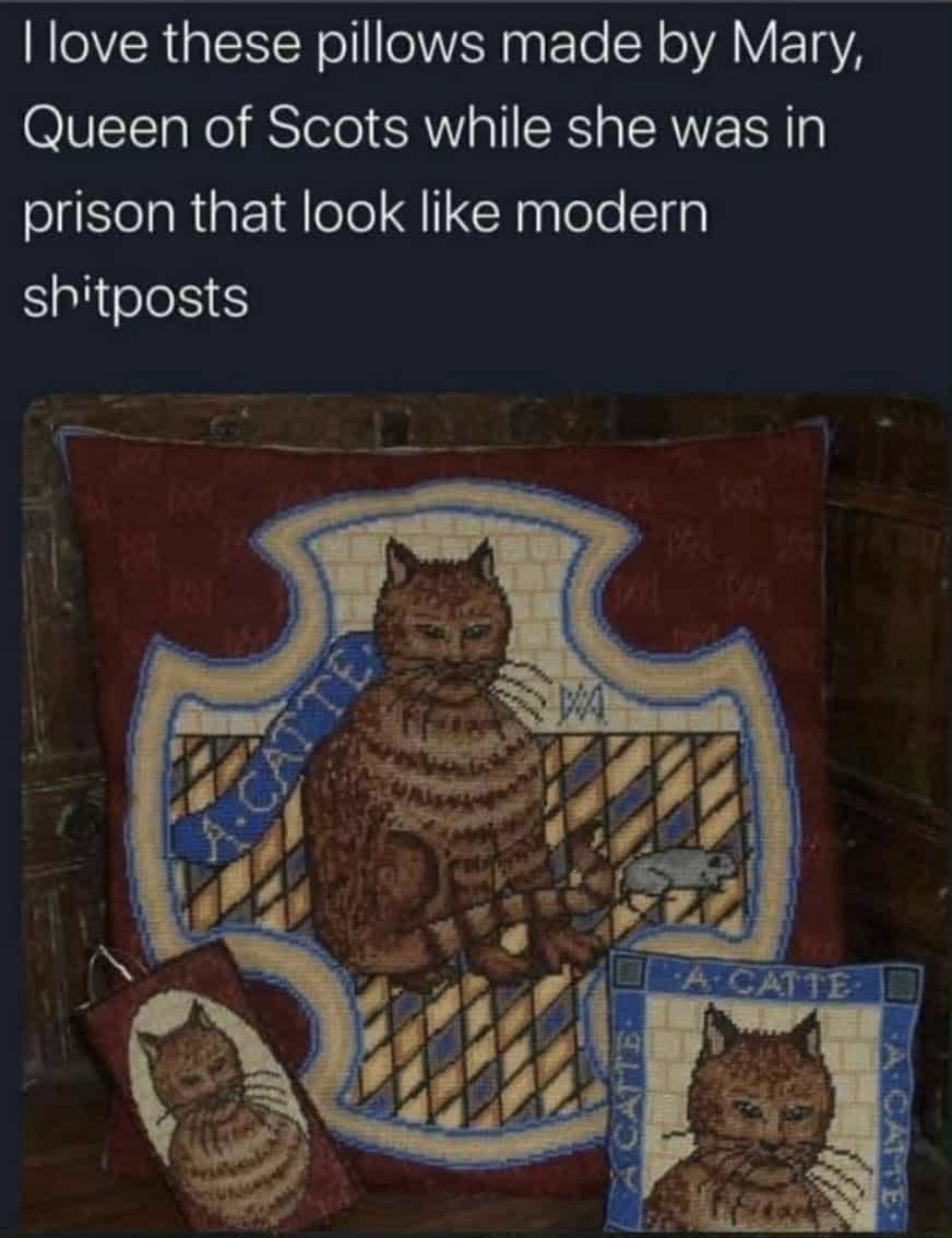 20 Memes So Random They Accidentally Made Sense 5 I like these pillows