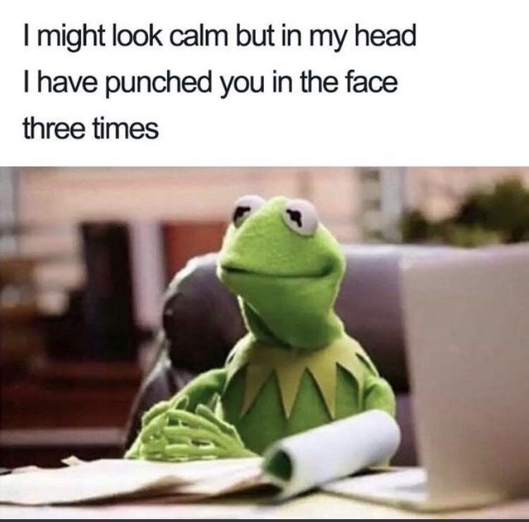 25 Dank Memes Your Moral Compass Won’t Survive 24 I might look calm
