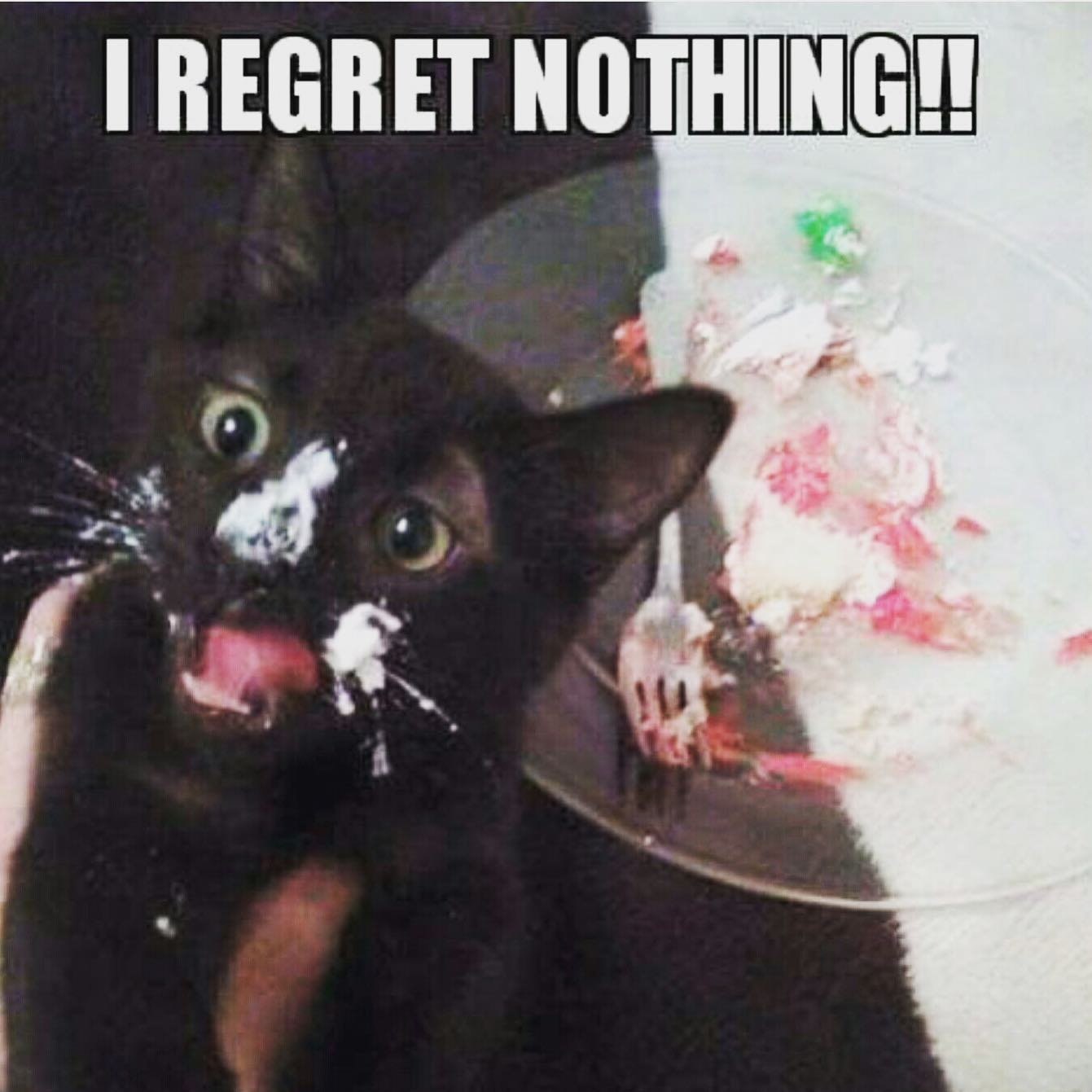45 Black Cat Memes That Exorcise Bad Luck and Summon Endless Laughter 44 I regret nothing