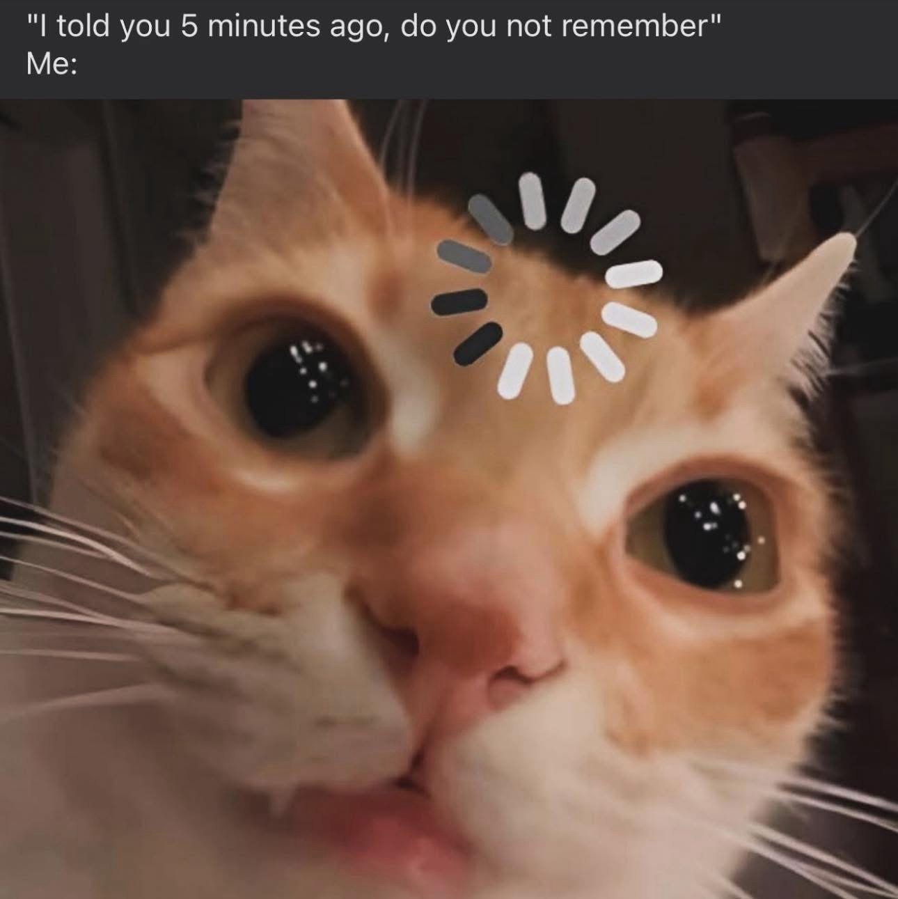 I told you 5 minutes ago