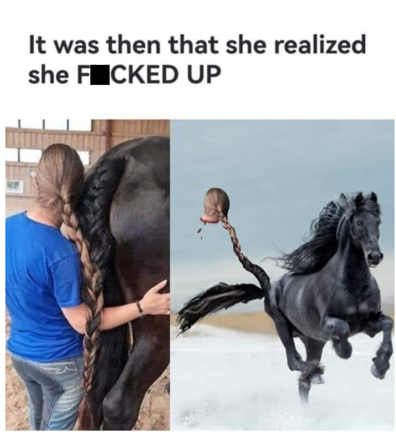 20 Memes That Defy Logic, Taste, and Conventional Humor 13 It was at this moment