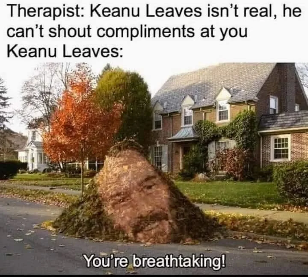20 Memes That Are Half Art, Half Chaos, All Confusion 7 Keanu leaves isnt real