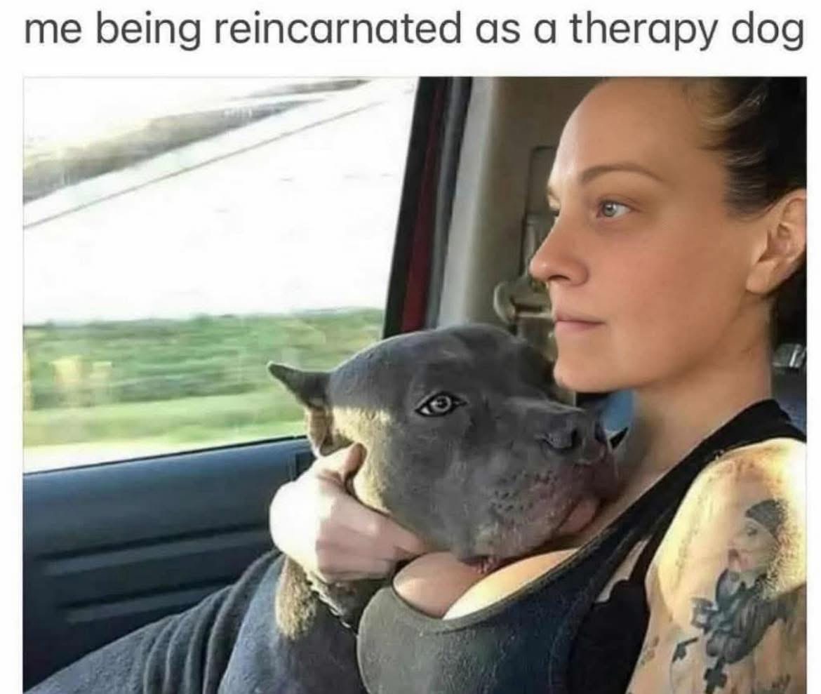 Me being reincarnated