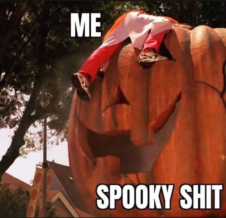 29 Halloween Memes That Will Give You Chills of Laughter 30 Me vs spooky shit