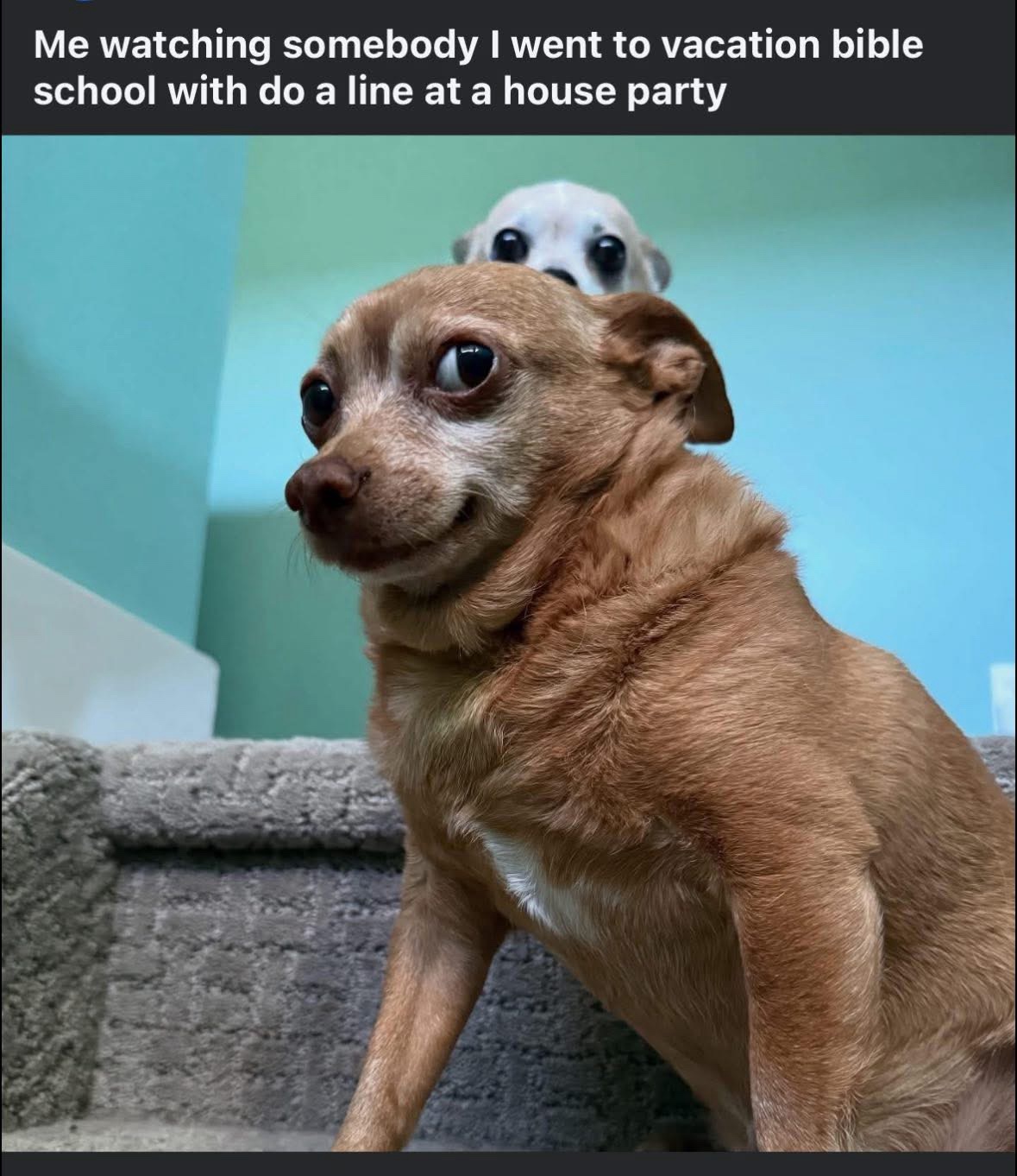 Me watching somebody