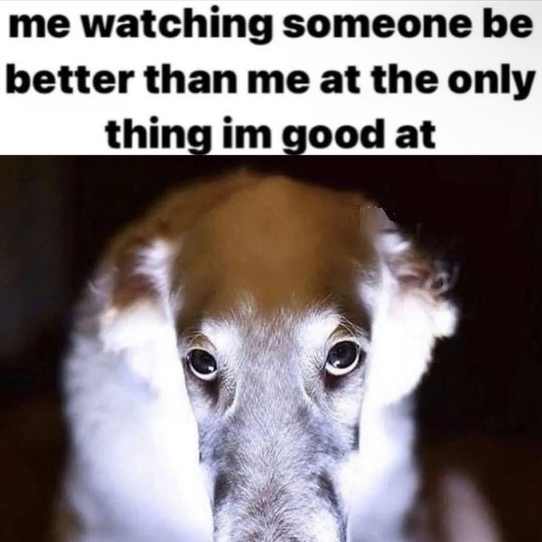 20 Memes That Make Sense Only If You’ve Fully Lost It 10 Me watching someone