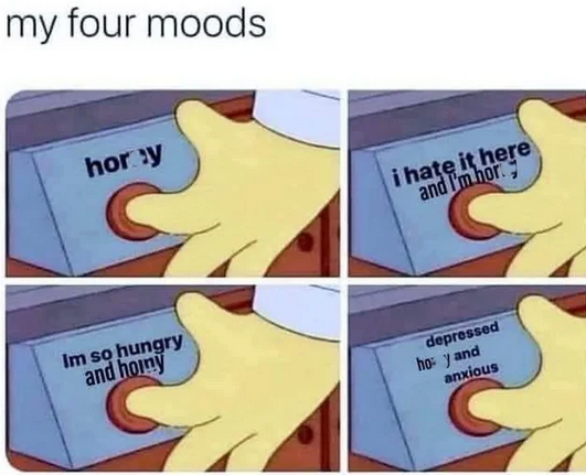 35 Funny Naughty Memes That Hit the Spot 35 My four moods