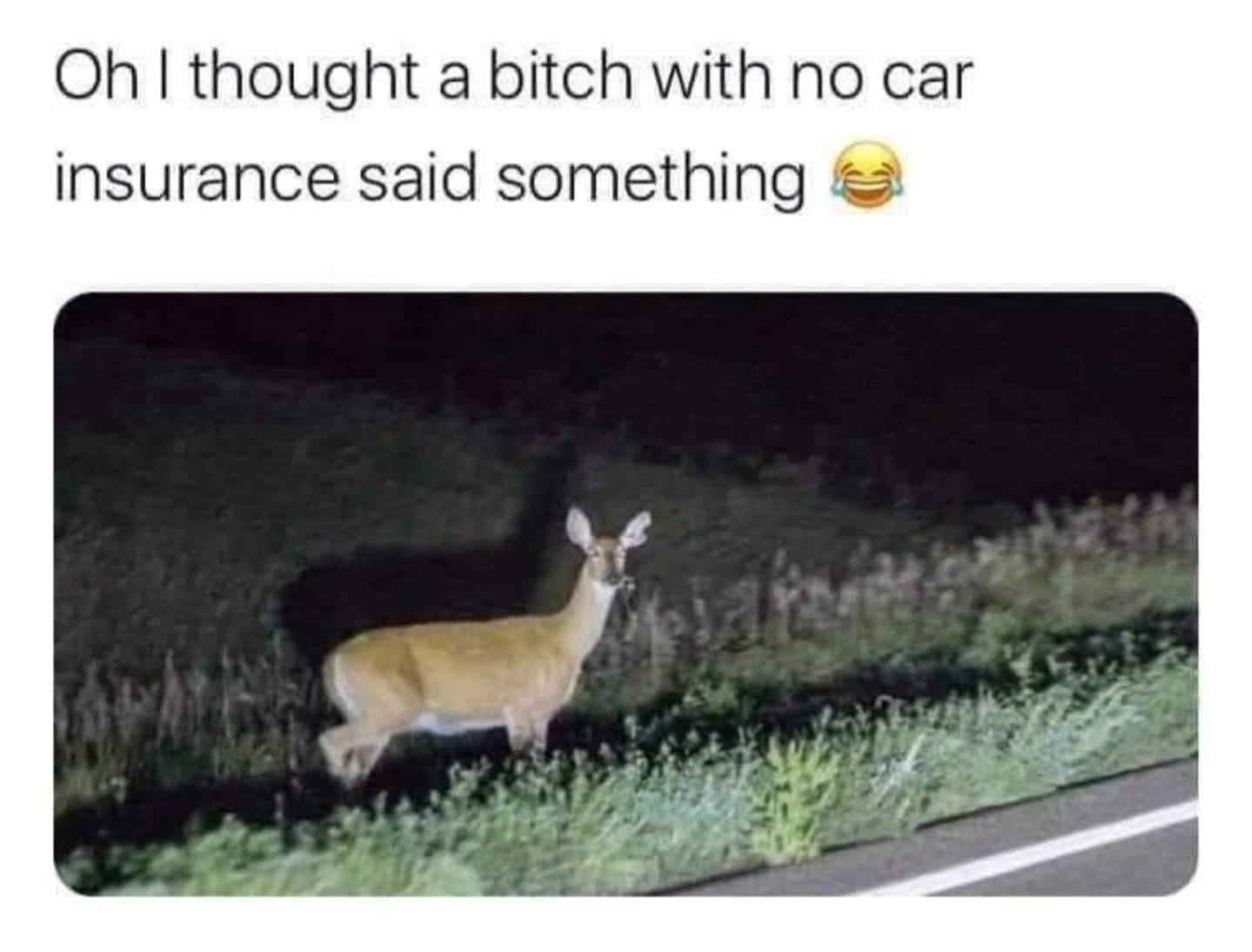 No car insurance