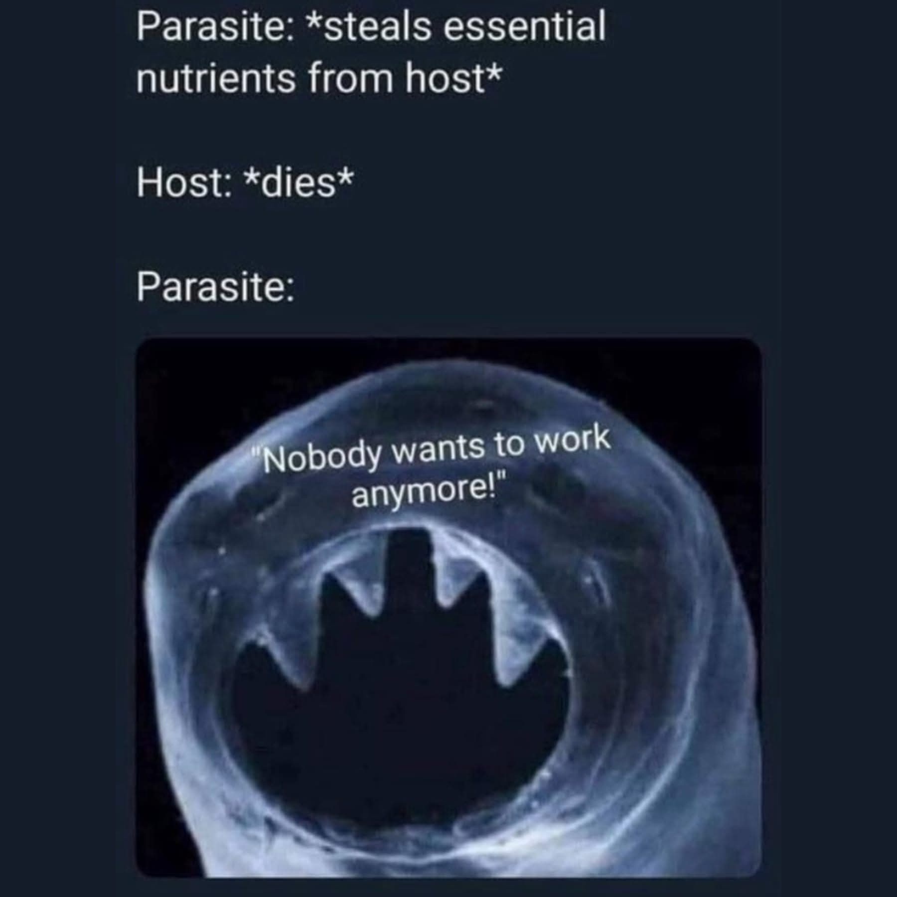 20 Memes That Are Half Art, Half Chaos, All Confusion 11 Nobody wants to work