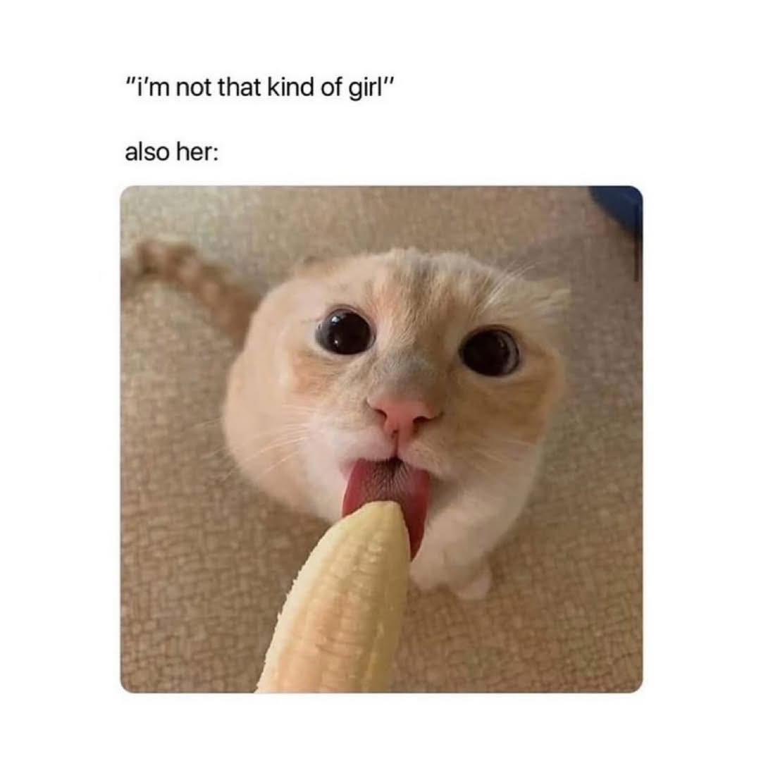 Not that kind of girl