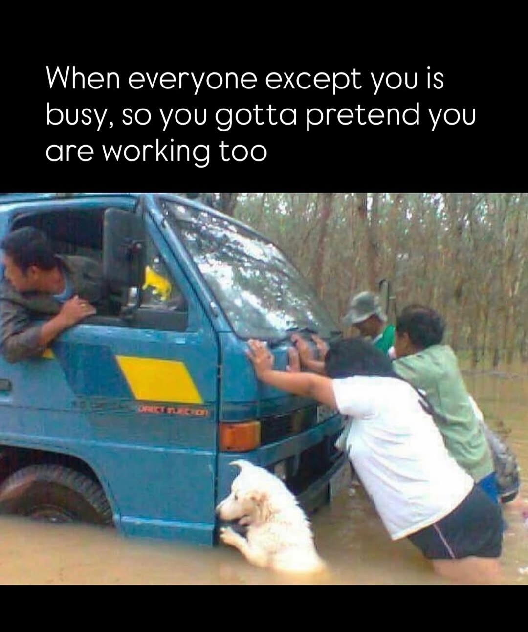 20 Memes That Are Funny and Wildly Random 9 Preted to work