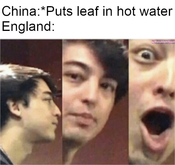 45 History Memes That Transform History into Hilarity 44 Puts leaf in water