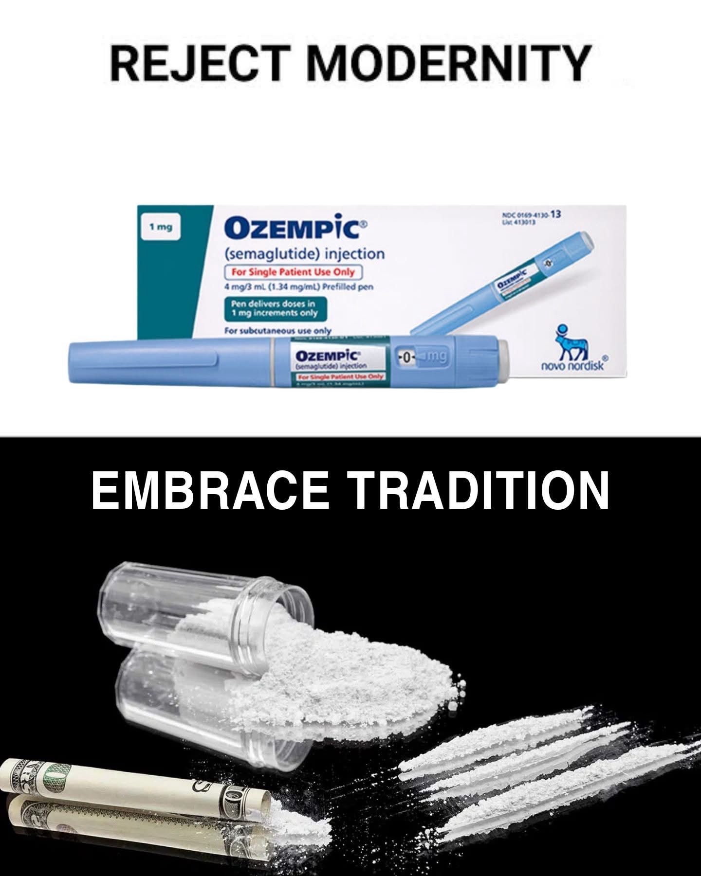 20 Memes So Random They Accidentally Made Sense 12 Reject modernity