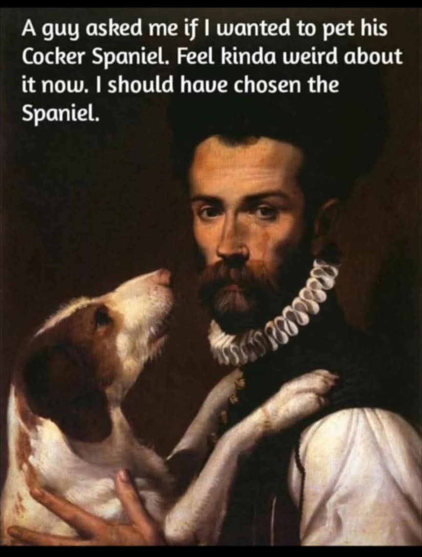 Should have chosen spaniel