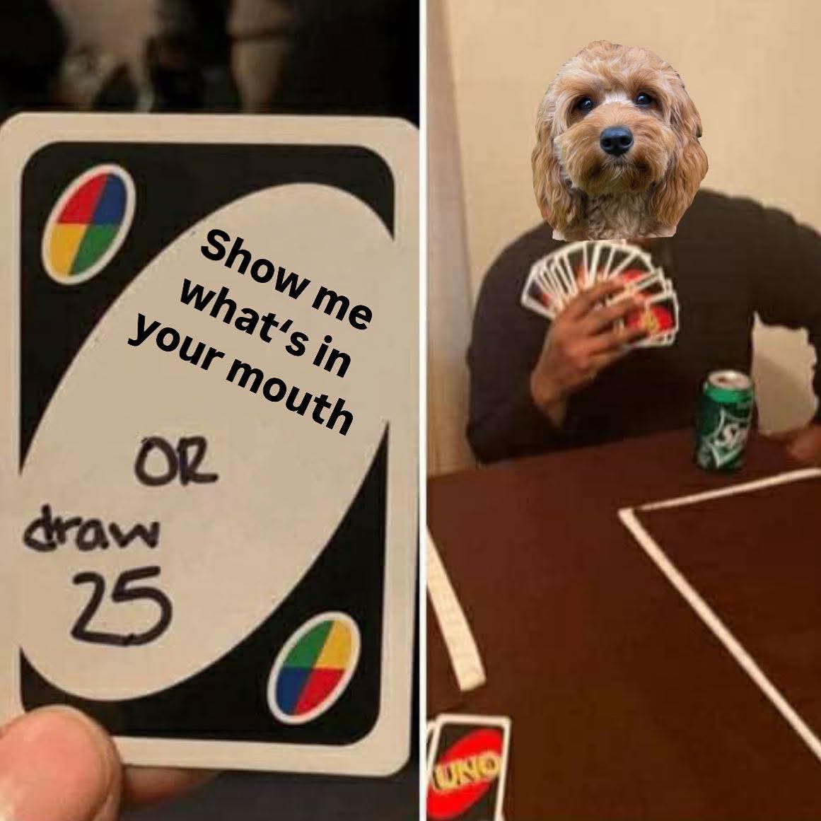 Show whats in your mouth