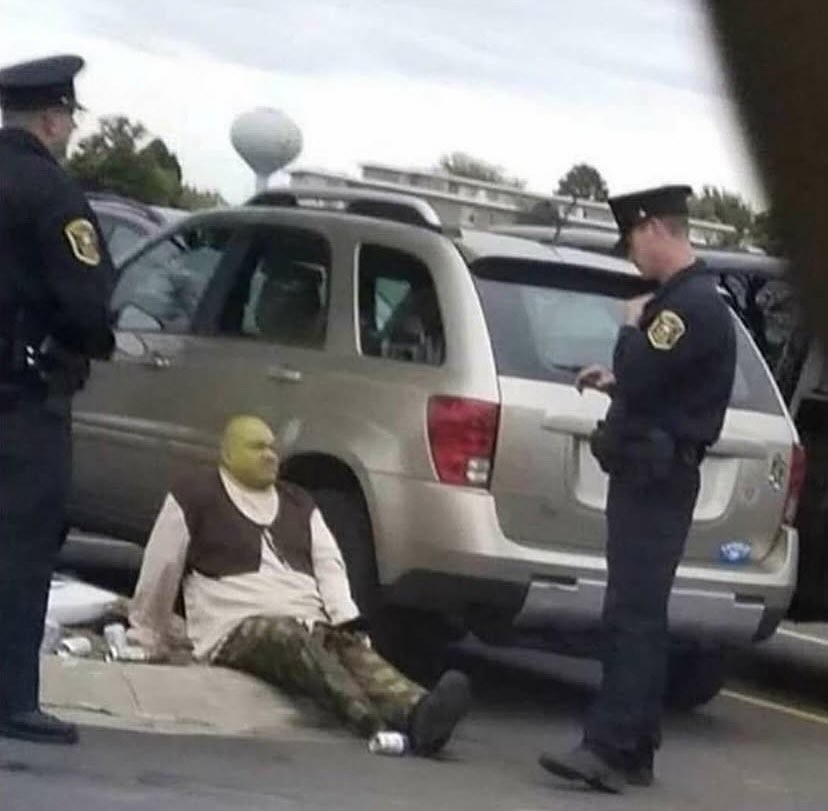 Shrek arrested