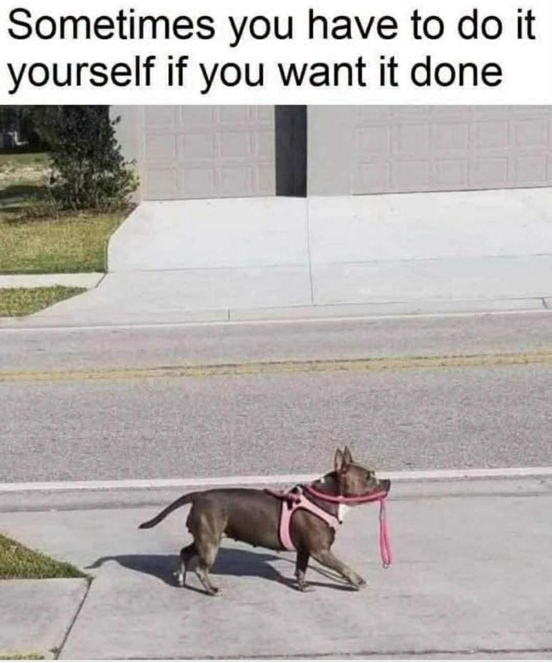 40 Work Memes That Will Help You Survive The 9-5 Grind 40 Sometoimes you have to do it