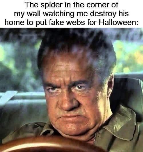 Spider in the corner of my wall