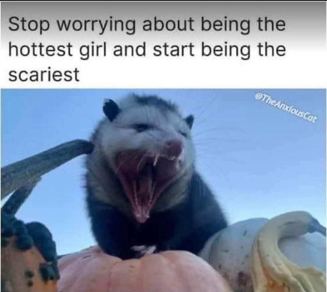 Stop worrying about the hottest