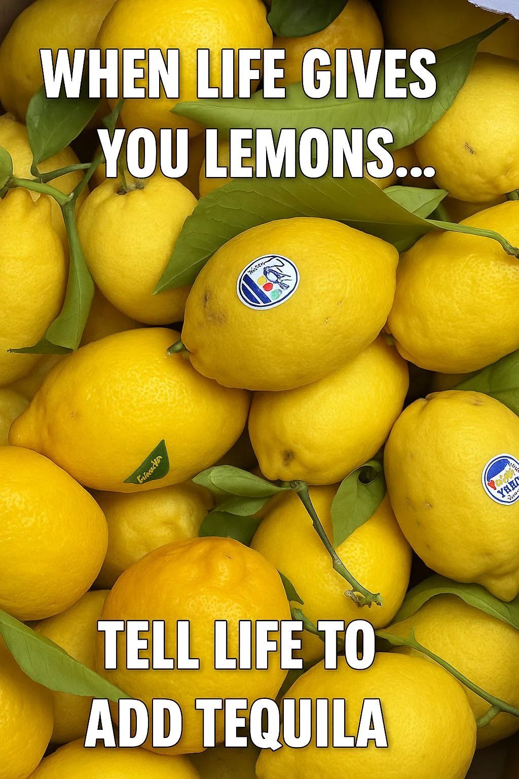 When Life Gives You Lemons, Make A Meme: 34 Memes to Cope with Adversity 36 Tell life to add tequila