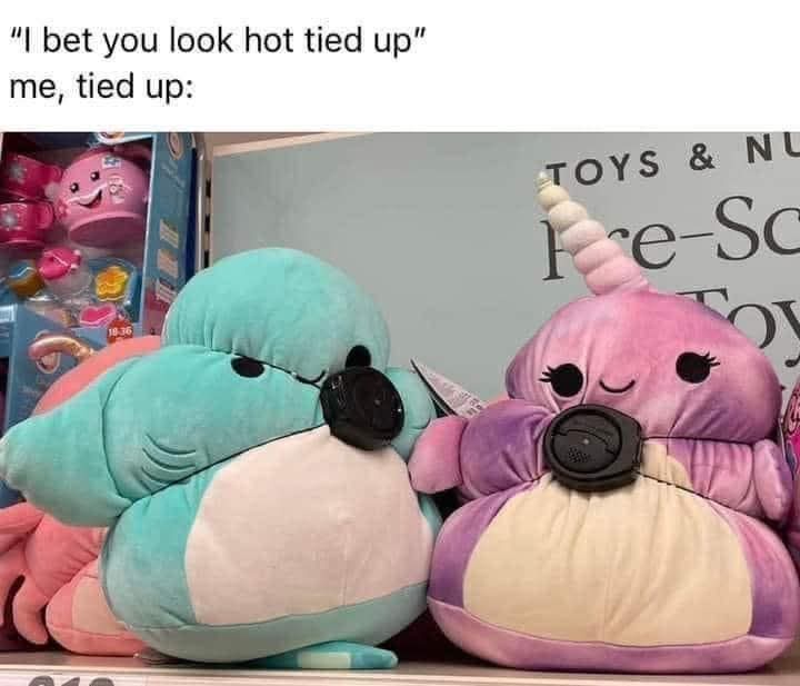 35 Uncensored Memes That Are Dangerously Funny 36 Tied up