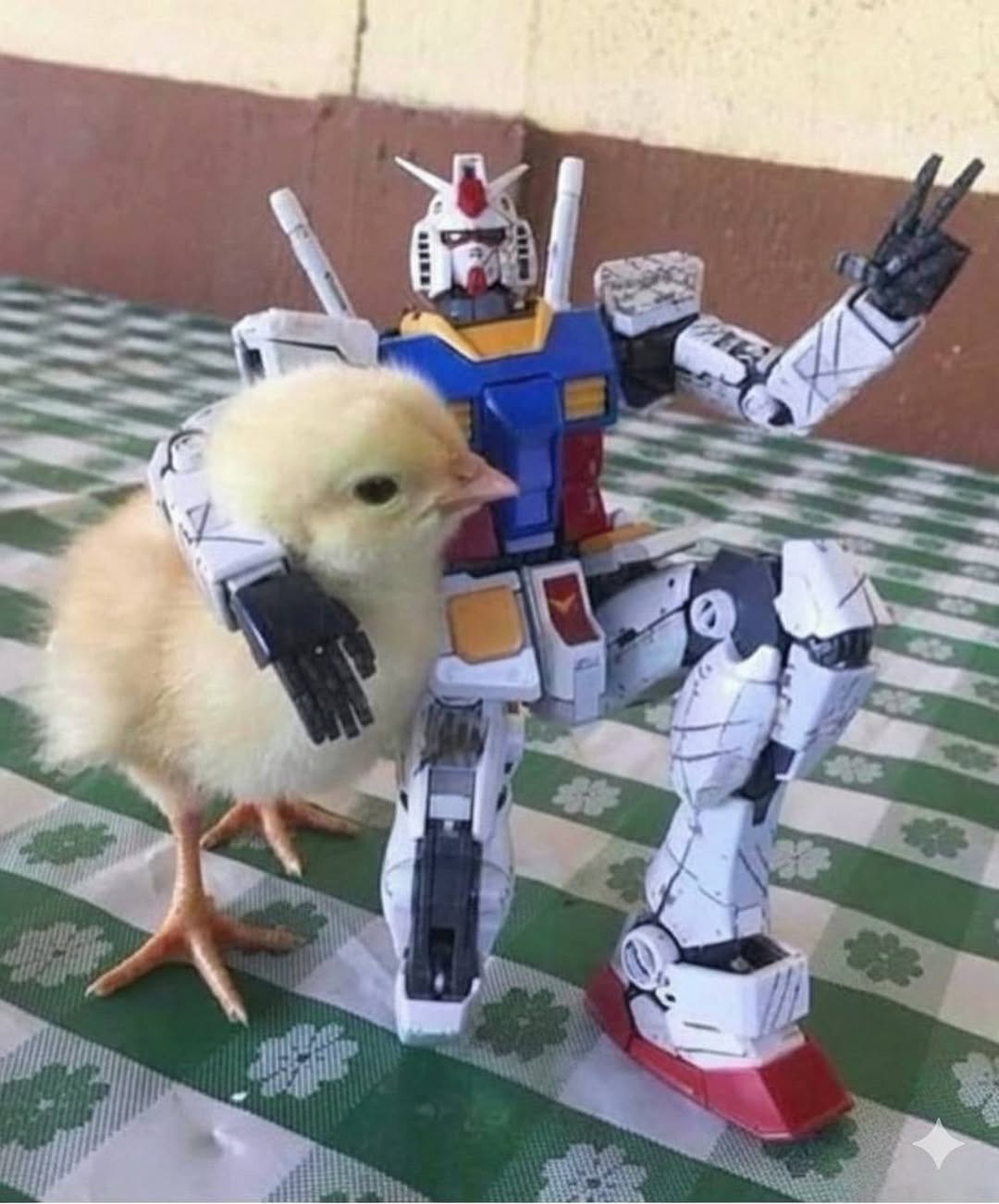 Trandformer chilling with chick